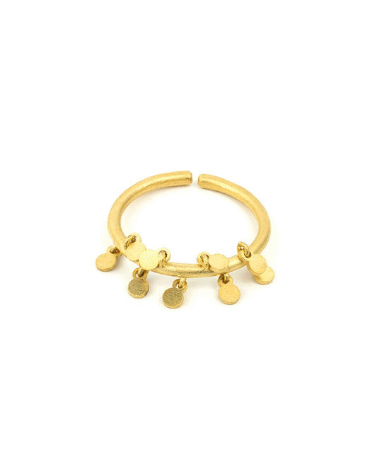 Anillo de monedas