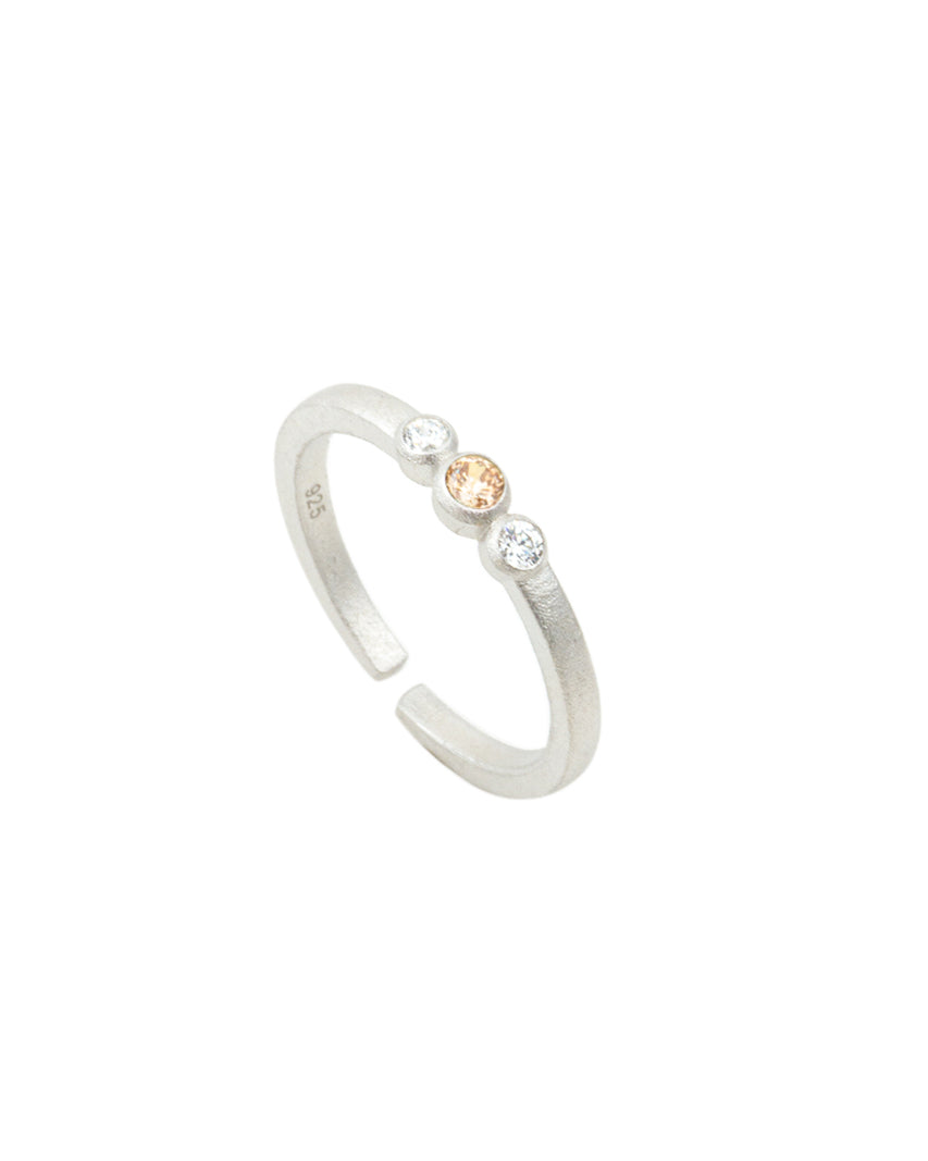 Equal Ring Silver
